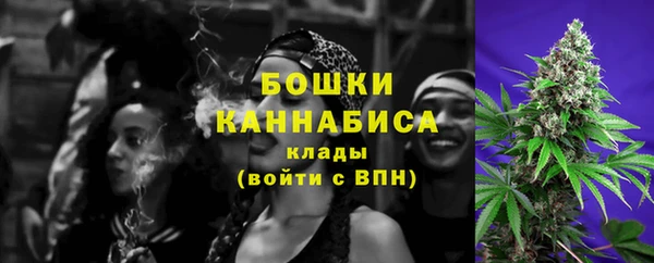 соль ск Вяземский