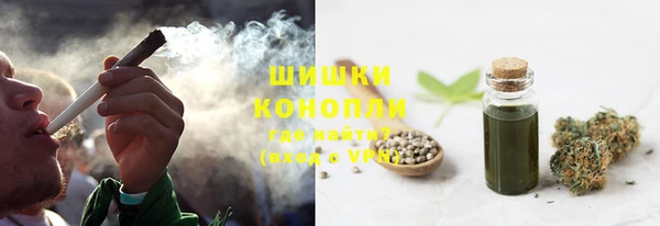 ГАЛЛЮЦИНОГЕННЫЕ ГРИБЫ Снежногорск