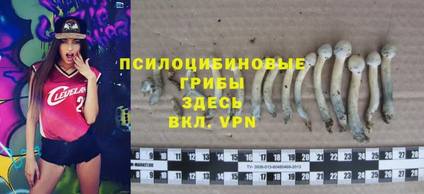 прущие крисы Снежинск