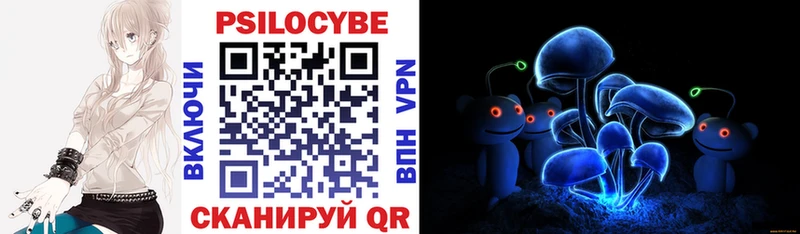Галлюциногенные грибы Psilocybe  Дудинка 